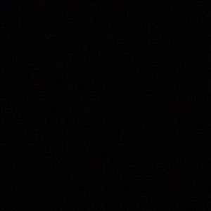 Meet your Posher, Cody